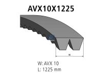 Verbundkeilriemen AVX 10, passend für MAN | DT 3.34405 - 334405 - L: 1225 mm, AVX10X1225, 2 belts