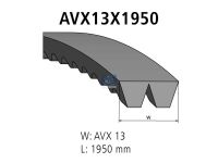 Verbundkeilriemen AVX 13, passend für MAN, MERCEDES-BENZ, SETRA | DT 3.34430 - 334430 - L: 1950 mm, AVX13X1950, 2 belts