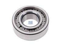 Rollenlager passend für DAF, IVECO, RENAULT, VOLVO | DT 7.38212 - 738212 - d: 45 mm, D: 100 mm, H: 31 mm