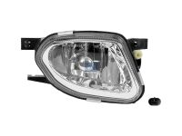 Nebelscheinwerfer, rechts, mit Glühlampe 12 V, H11 passend für MERCEDES-BENZ | DT 4.66239 - 466239