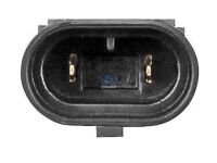 Glühlampe, Nebelscheinwerfer 12 V, HB4, 55 W, P22d passend für MERCEDES-BENZ, VW | DT 11.84140 - 1184140