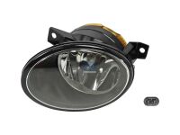 Nebelscheinwerfer, links, mit Glühlampe 12 V, HB4, 51 W passend für MERCEDES-BENZ | DT 4.69262 - 469262